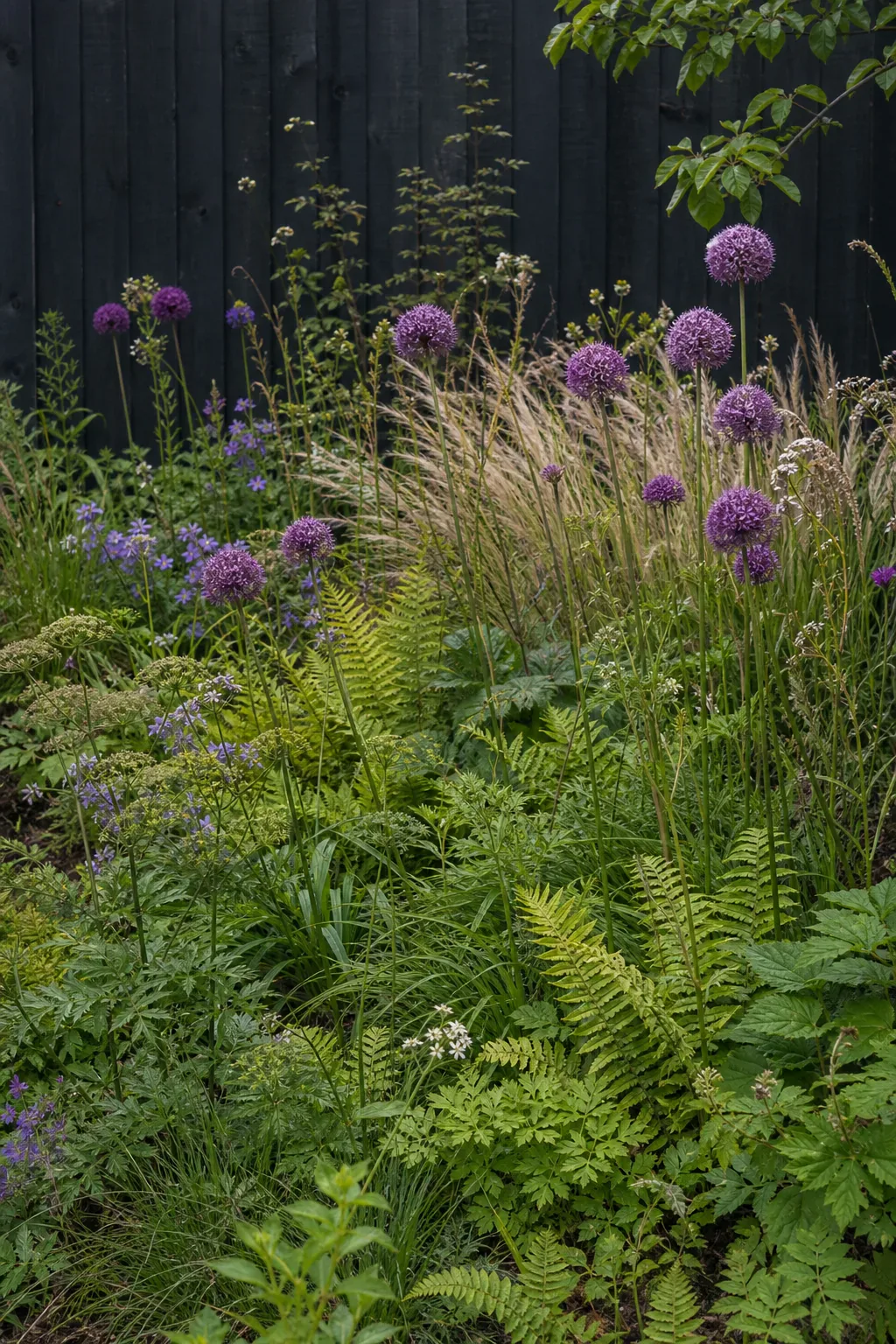 Layered perennial planting with grasses and purple flowers